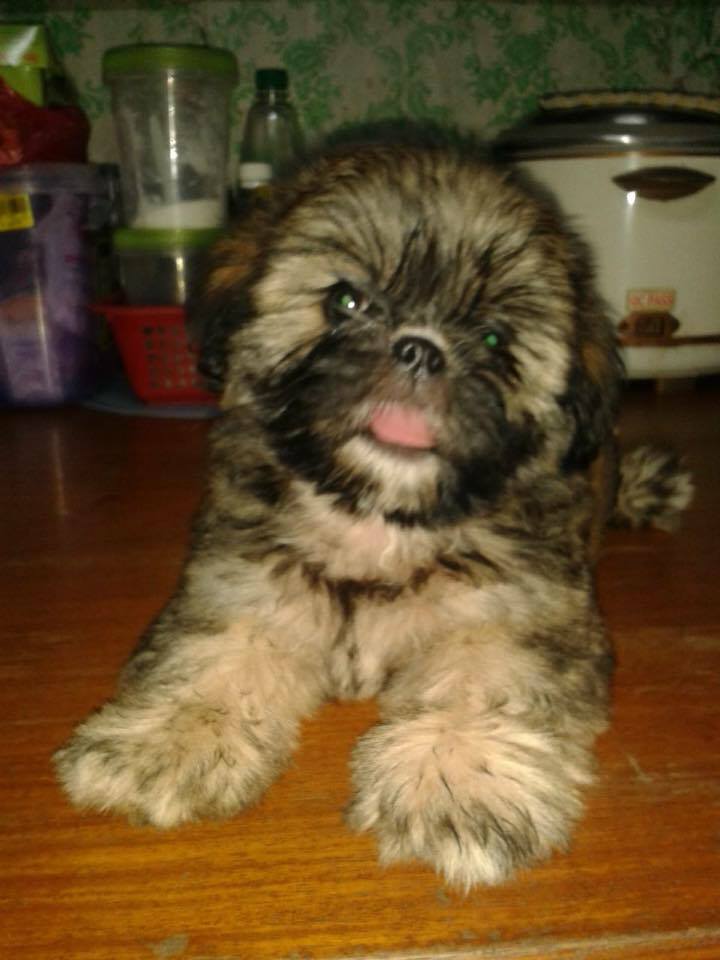 Rowena Reyes