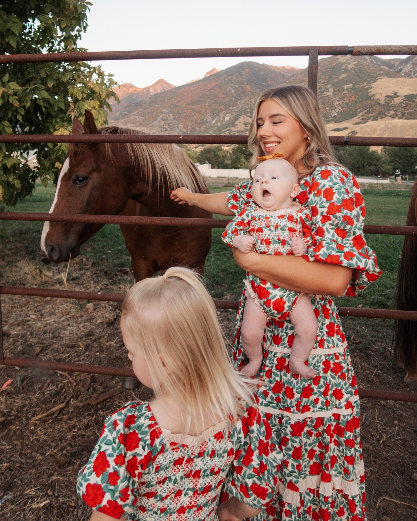 Chickenleigh and Charcuterleigh found horses! 🐎 Yall know my love