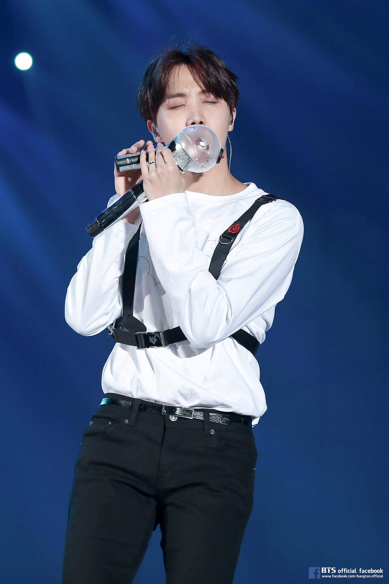 BTS 4TH MUSTER <HAPPY EVER AFTER> Hobi ?