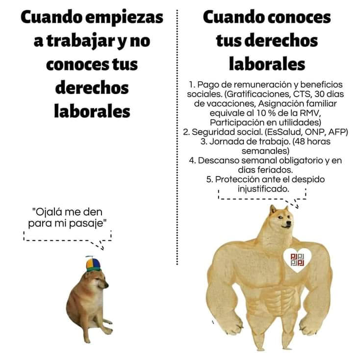 Medina Abogados - 🔻 Si eres trabajador formal en una...