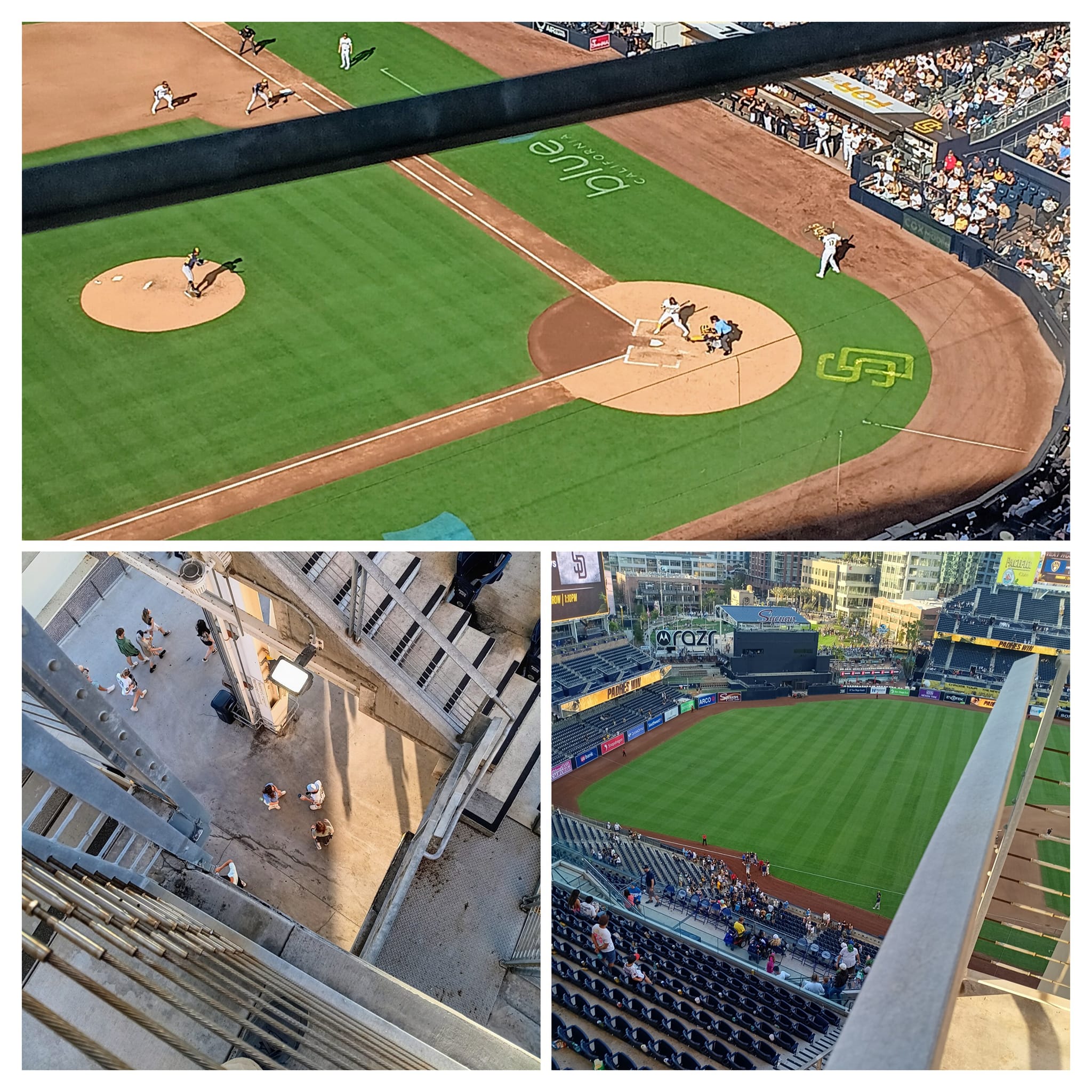 Rook's Glimpse of Baseball