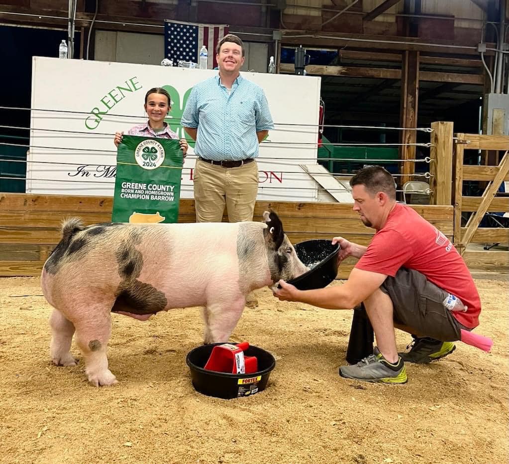 2024 Greene County Fair, IN Greene... - Generation Six Farm | Facebook
