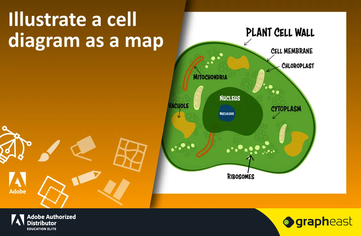 Grapheast Education - Illustrate a cell diagram as a map Students learn ...