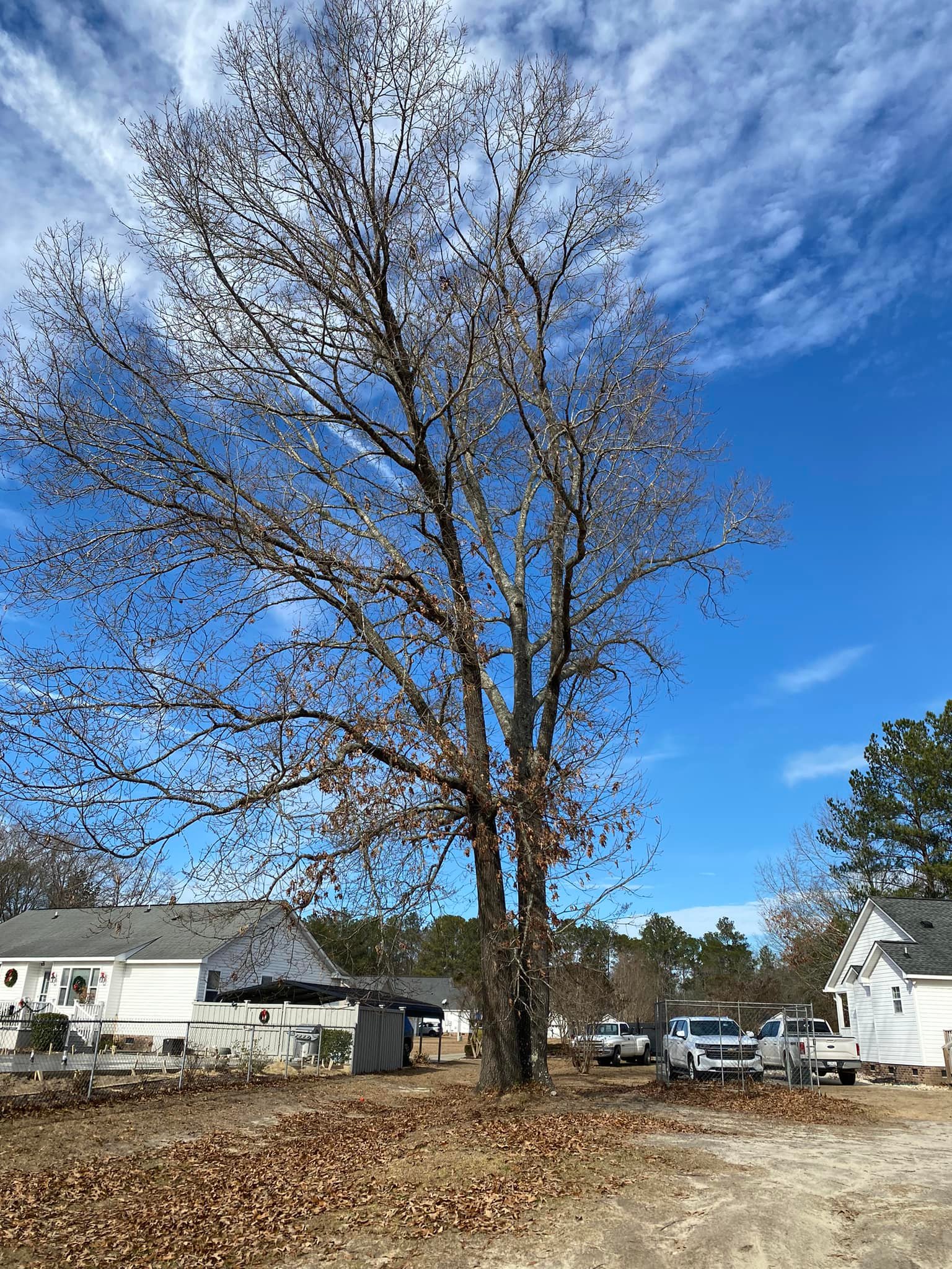 Cutting Edge Stump Grinding & Tree Removal LLC