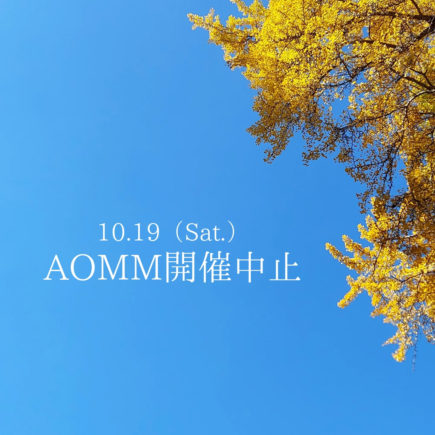 AOMM