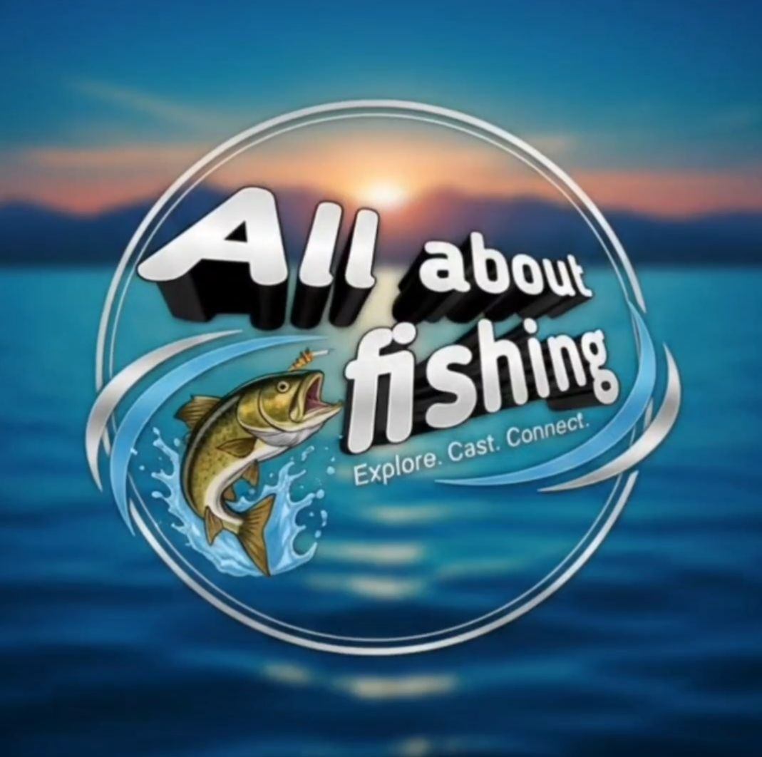 🎣 LA PÊCHE AU TÉLÉPHÉRIQUE 🎣 🐟 Appât : une saupe vivante. ⚓ Montage ...