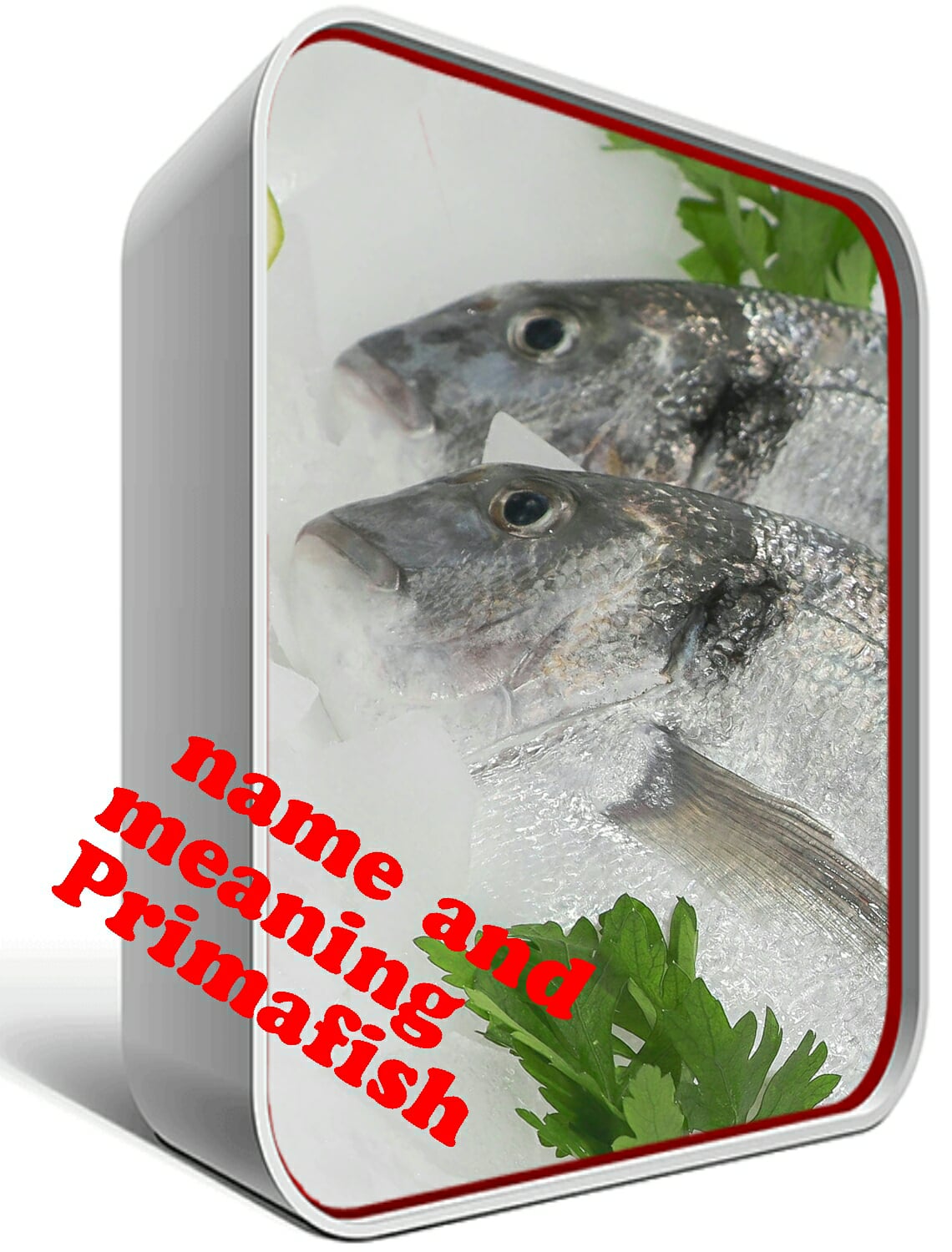 Prima fish | Teboulba