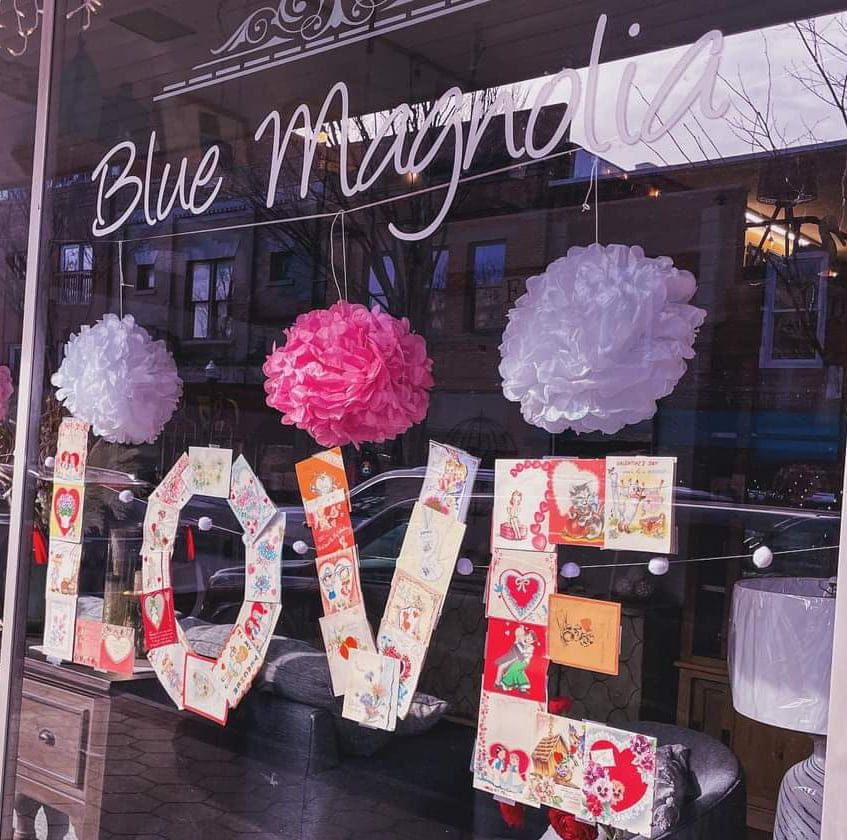 Blue Magnolia New Bern NC