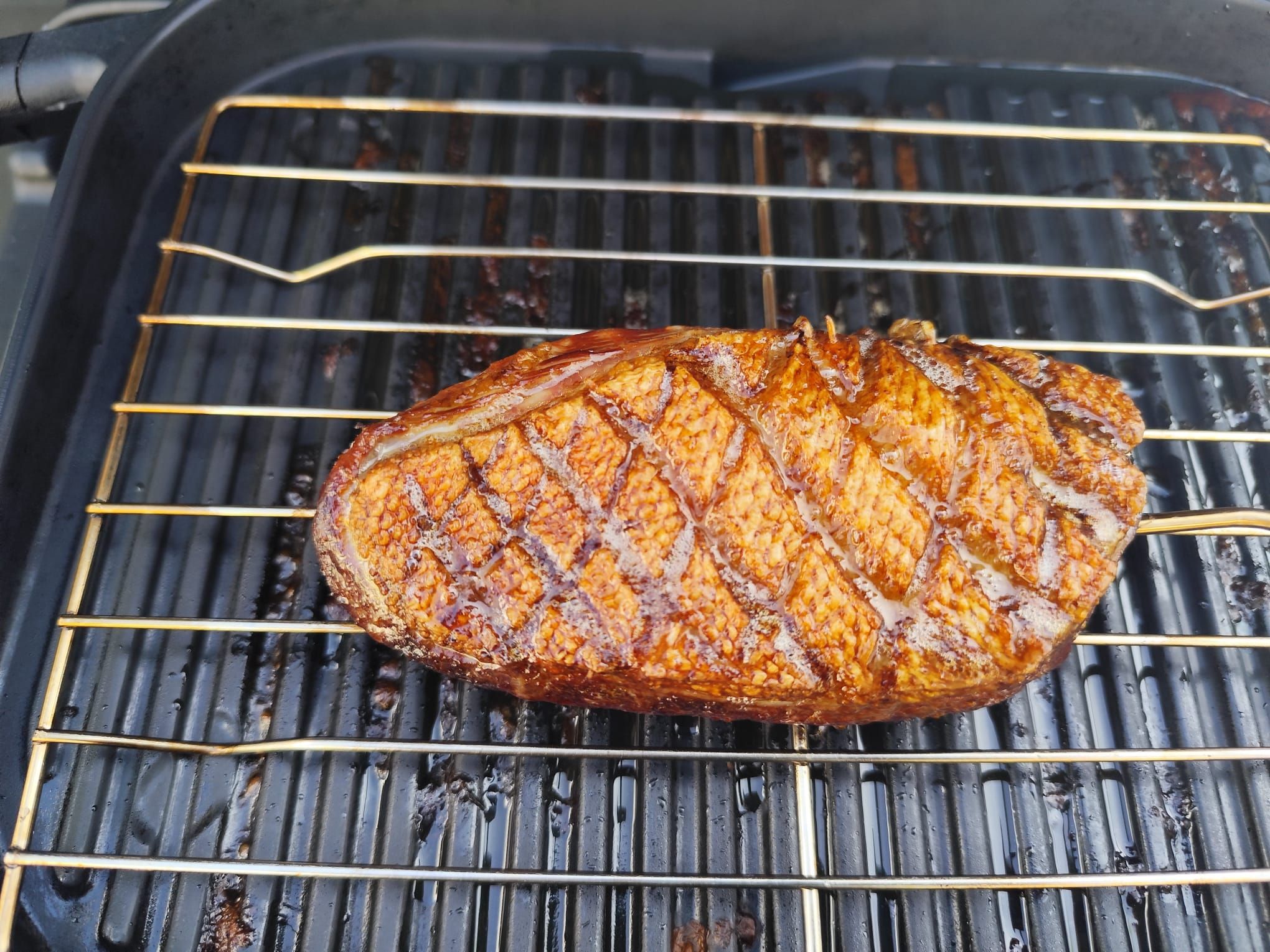 Ninja Woodfire, Artisan, Ofen - Grillen, räuchern, Rezepte, Tipps u ...