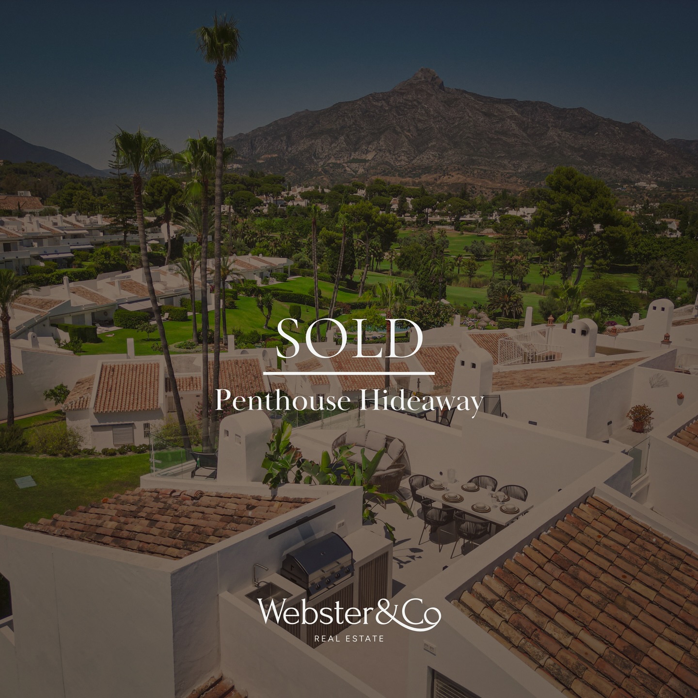 Webster and Co Real Estate