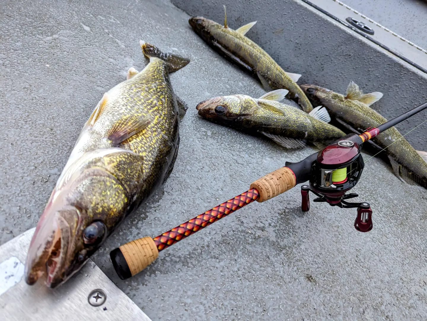 Wolfram Custom Rods | Prior Lake MN