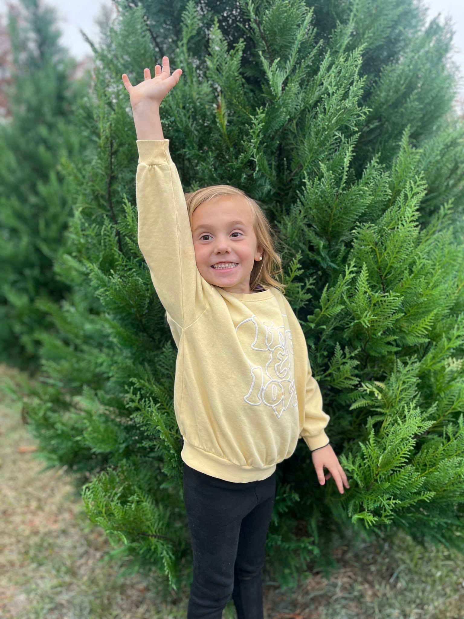 Risner Christmas Tree Farm