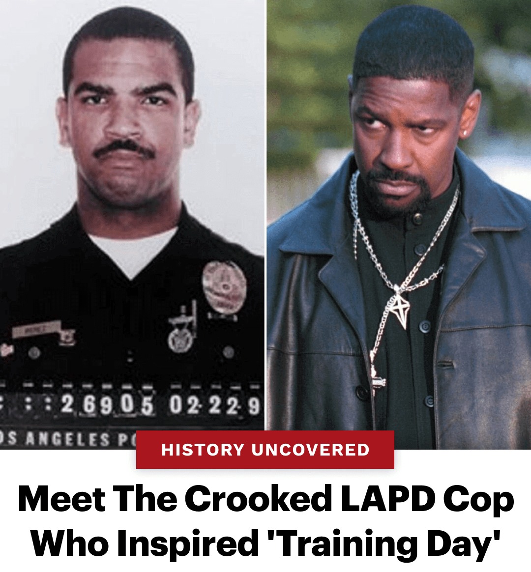 Chatham Cop Log - The Cancer of Southcentral CA is also... | Facebook