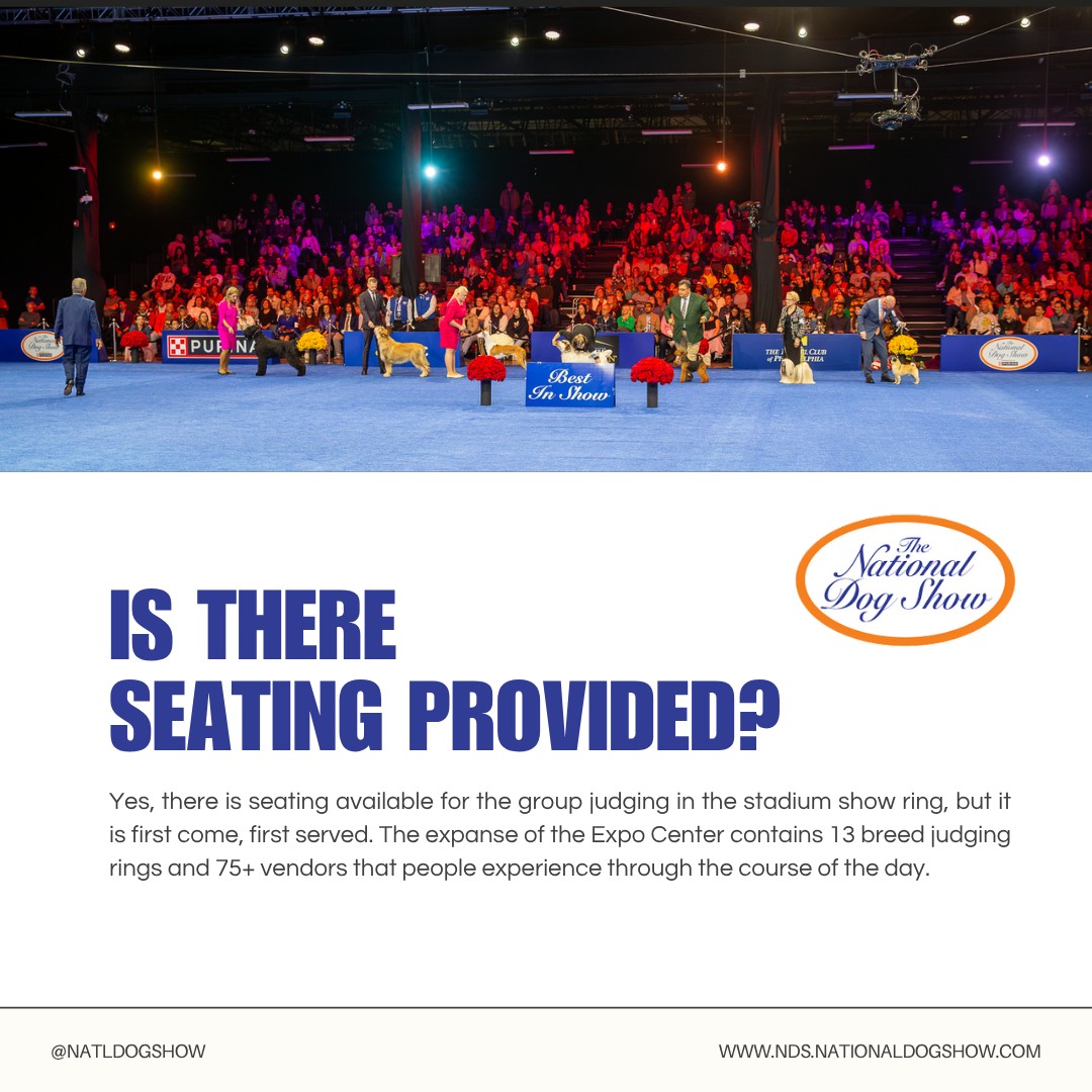 National - 🐾 Planning your visit to the National Dog Show? Here’s a pro ...