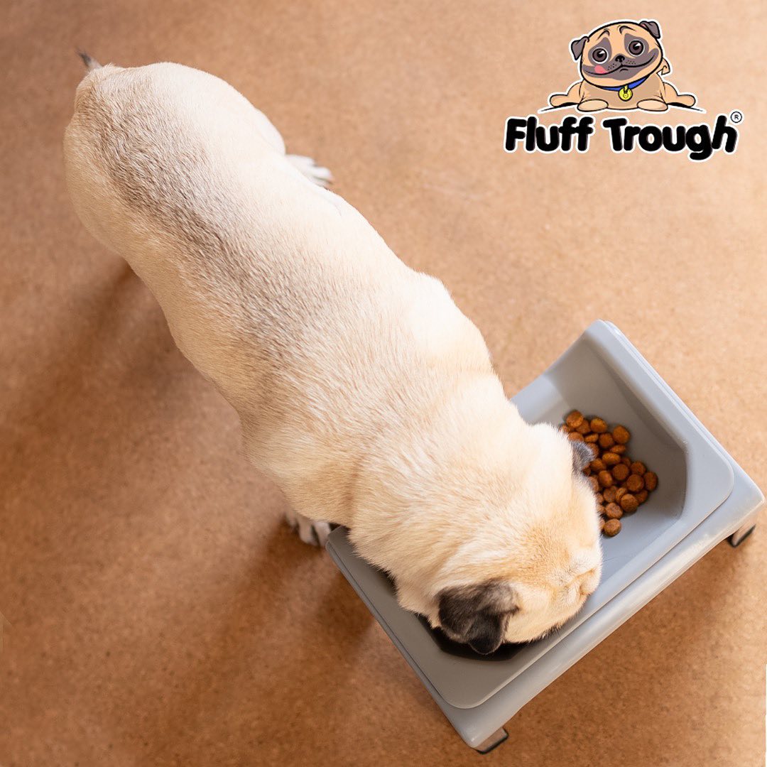 Fluff - Take your pet’s feeding time to the next level with Fluff ...