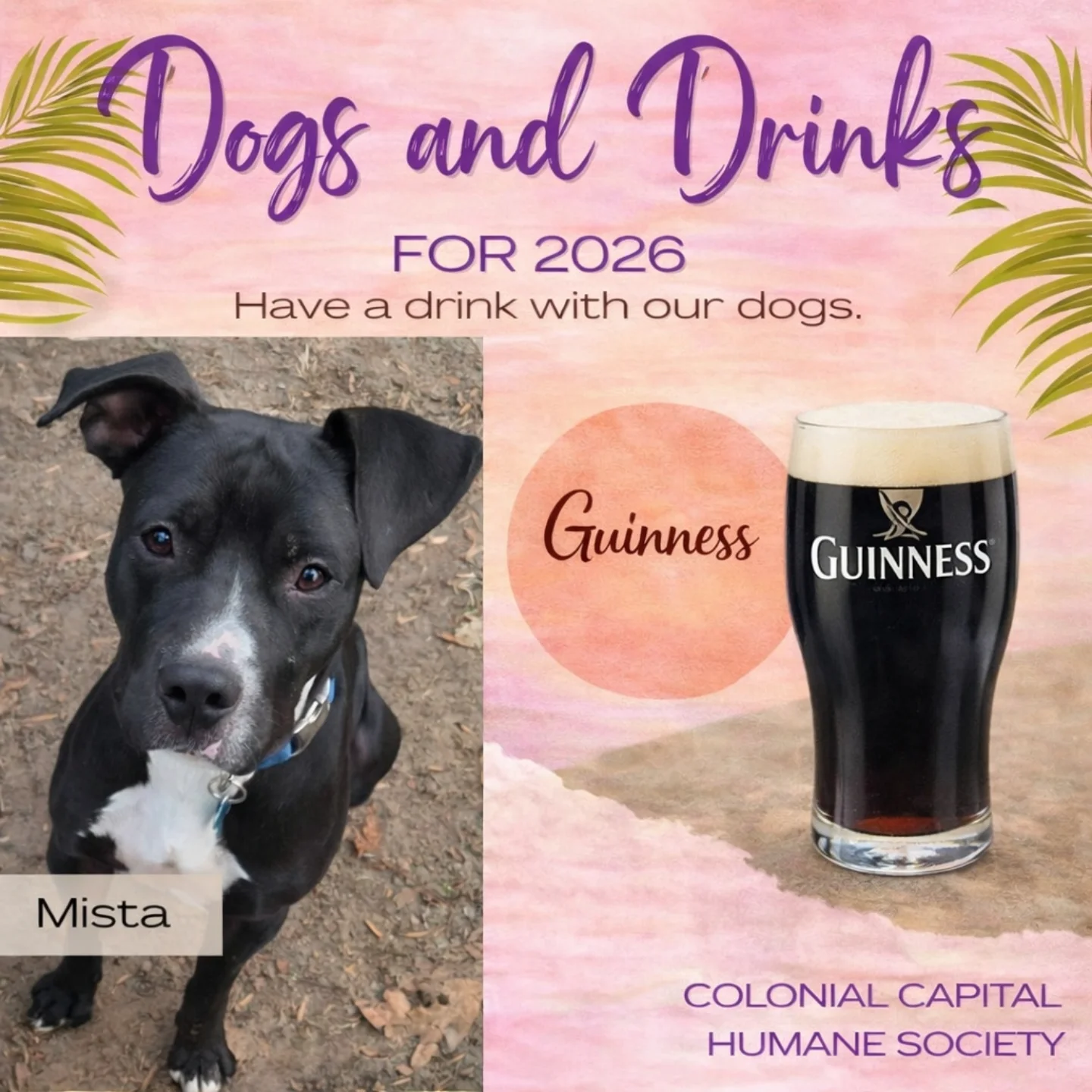 🍀 HELLO 2026! 🍀 🐾🍺 Dogs... - Colonial Capital Humane Society | Facebook