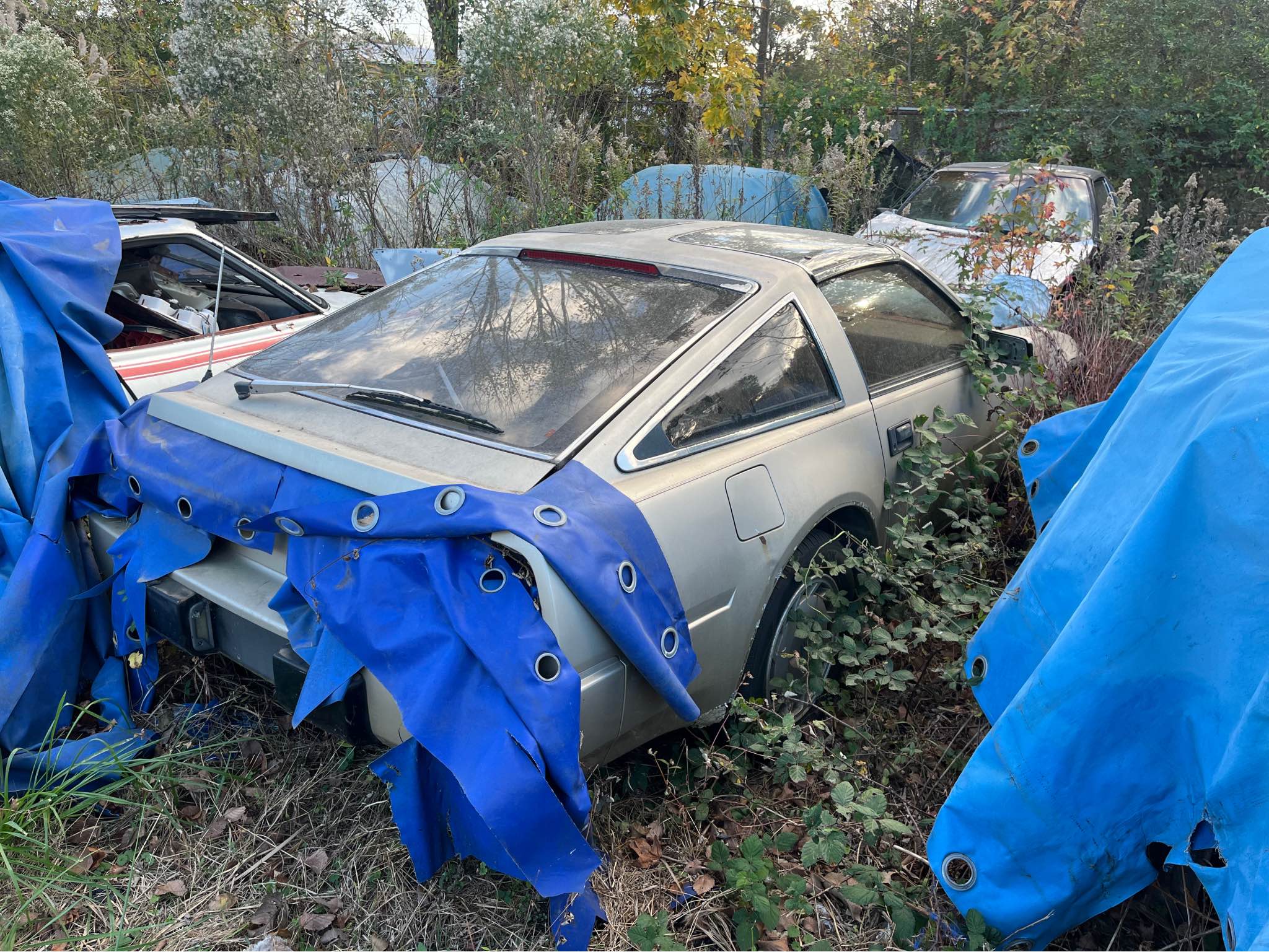 Z31 parts Large selection of Z parts all years available I have