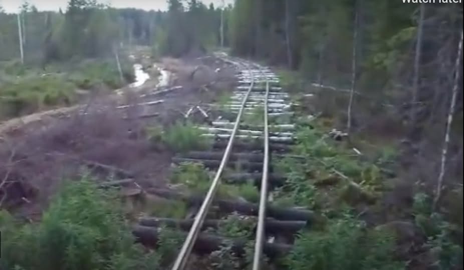 I Love - Logging Railroad Built On Logs ! 👇 😮 https://trainfanatics.com ...