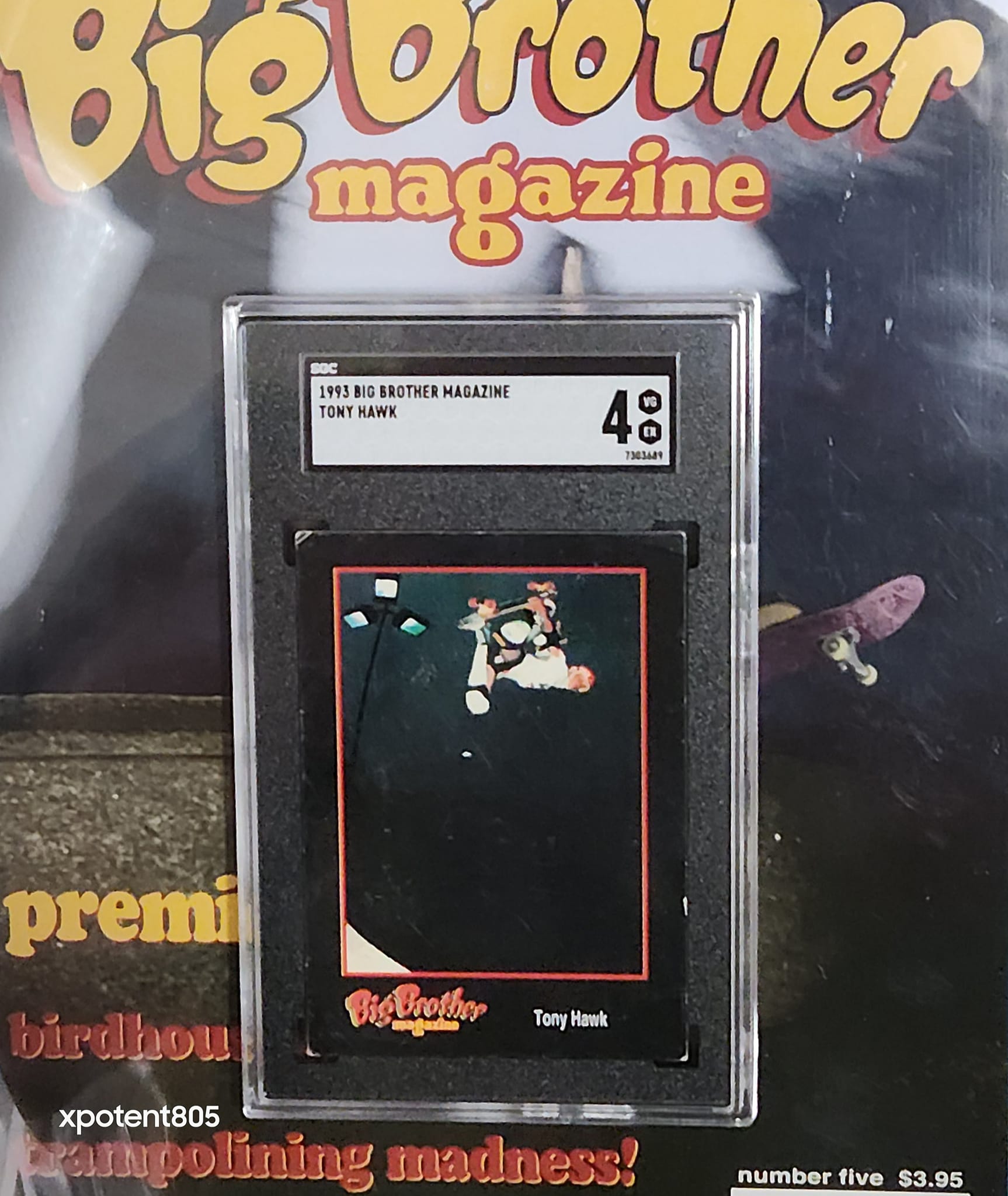 Rare 1993 Big Brother Skateboarding Magazine Cards Collection