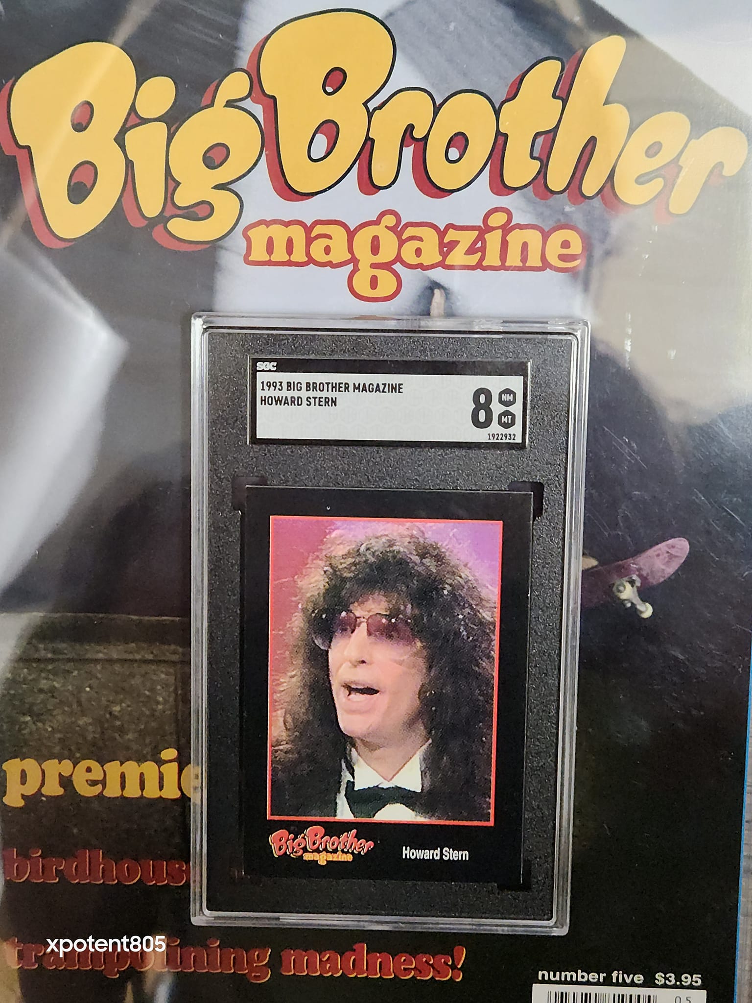 Rare 1993 Big Brother Skateboarding Magazine Cards Collection