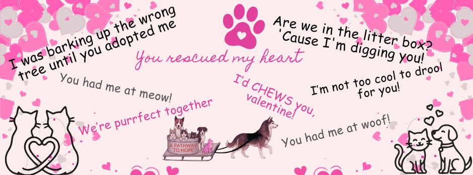 Only Kindness Rescue added a new photo. - Only Kindness Rescue