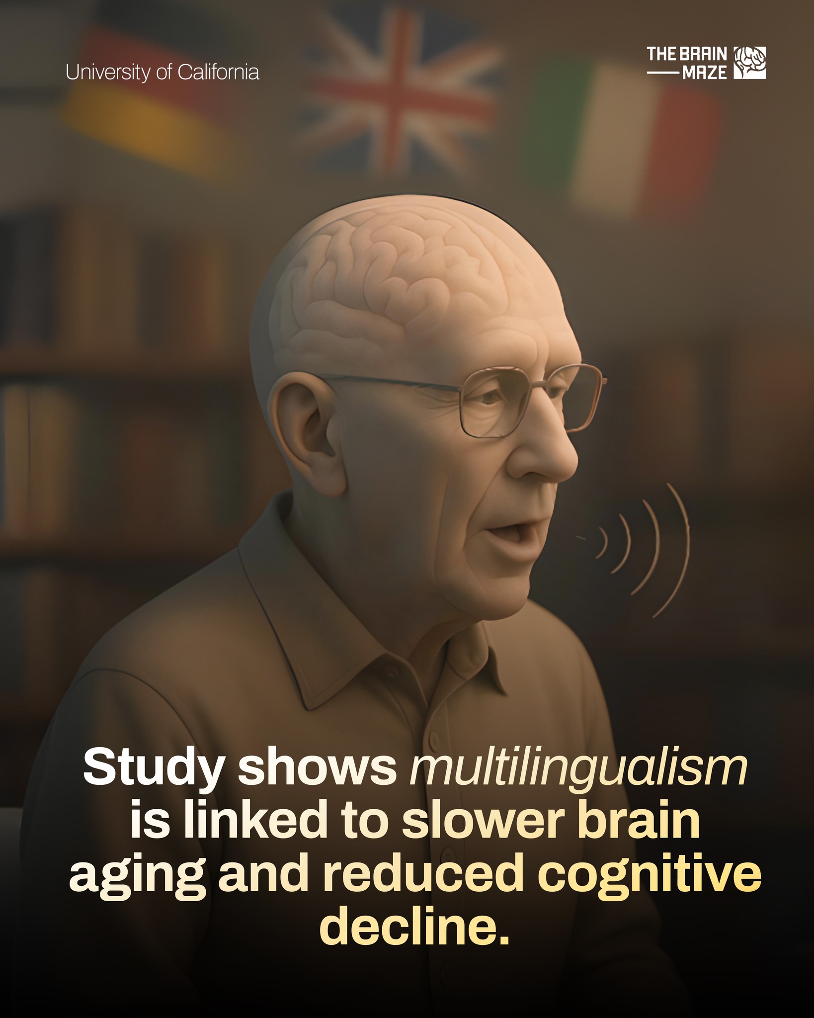 The Brain - A large-scale study from researchers at the University of ...