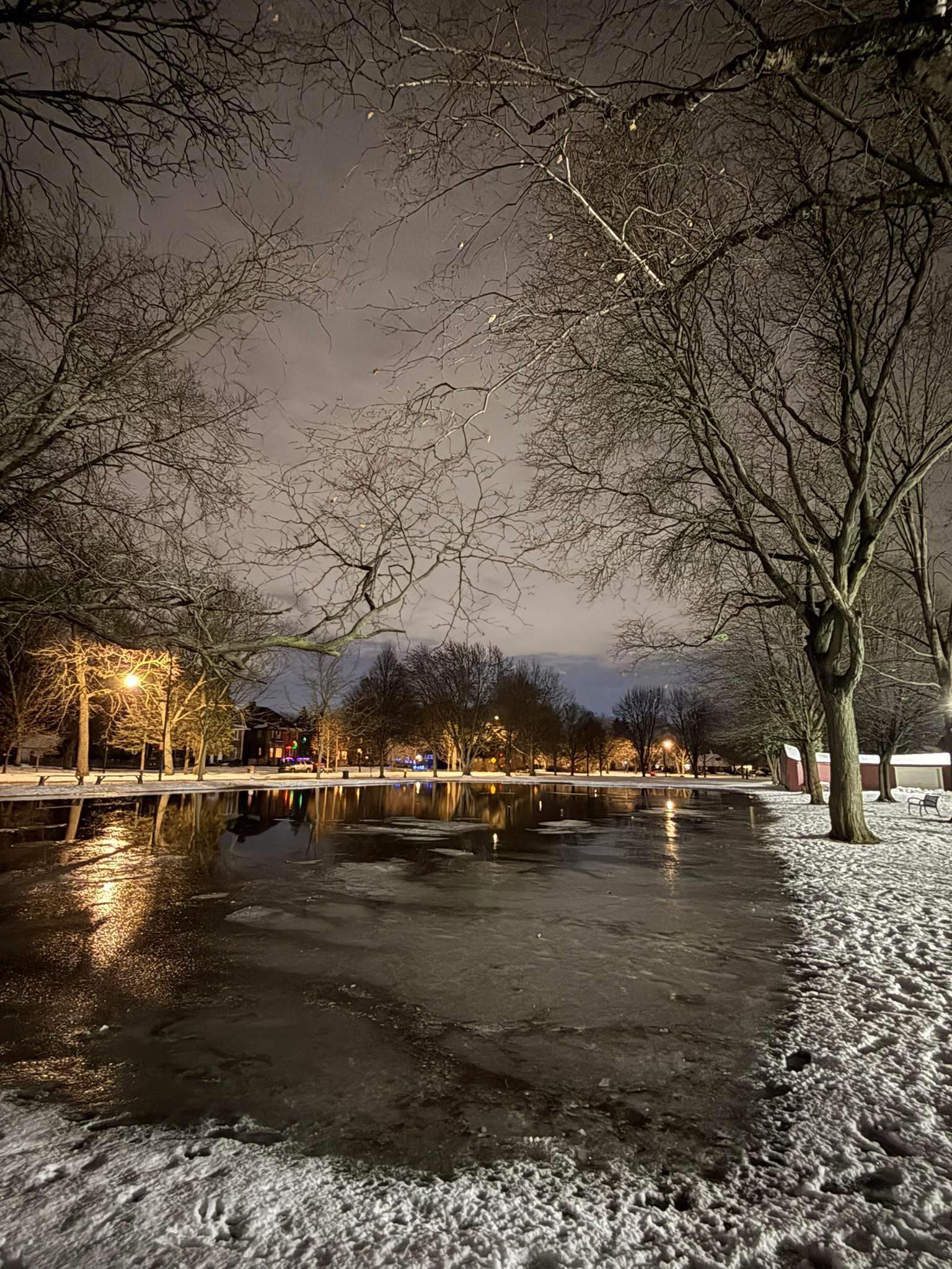 North Rosedale Park Civic Association | Detroit MI