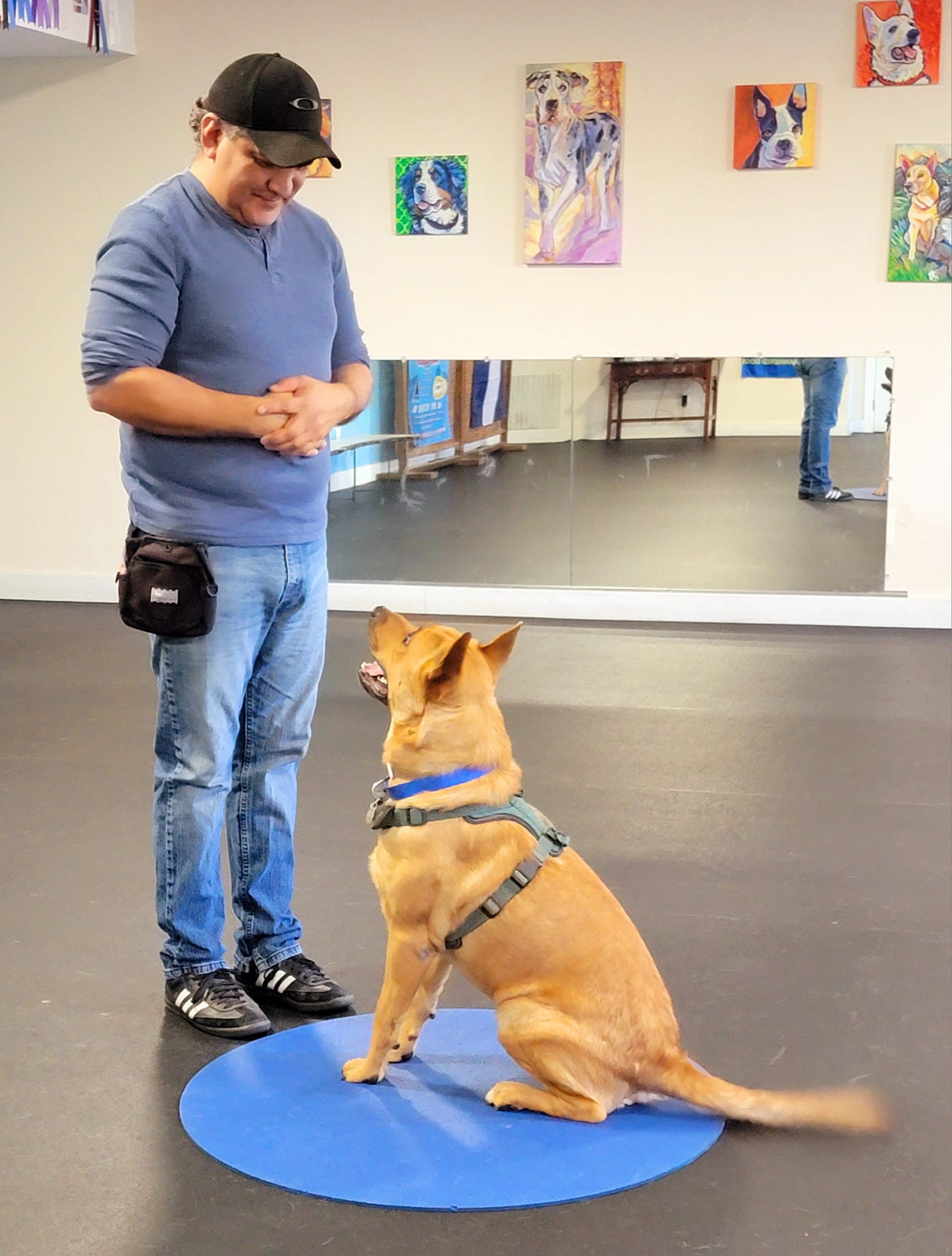 Friends for Life; Holistic Pet Training Certified Professional Dog Trainer