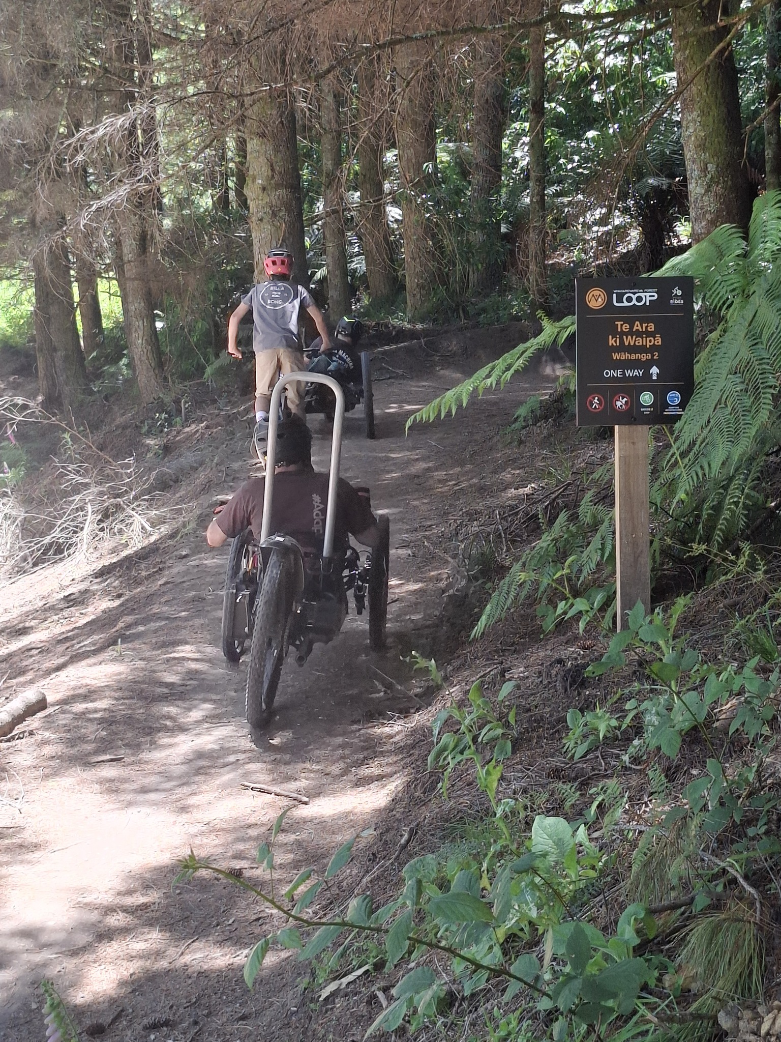 Whakarewarewa Forest Loop Great Ride | Rotorua