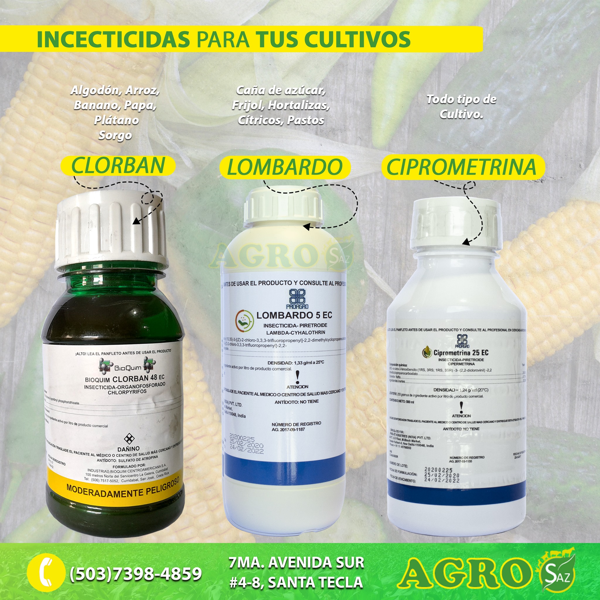 Agrosaz - INSECTICIDAS PARA TUS CULTIVOS. 🍉🥒🥦🍅🥕🌶🌽🥦 En...