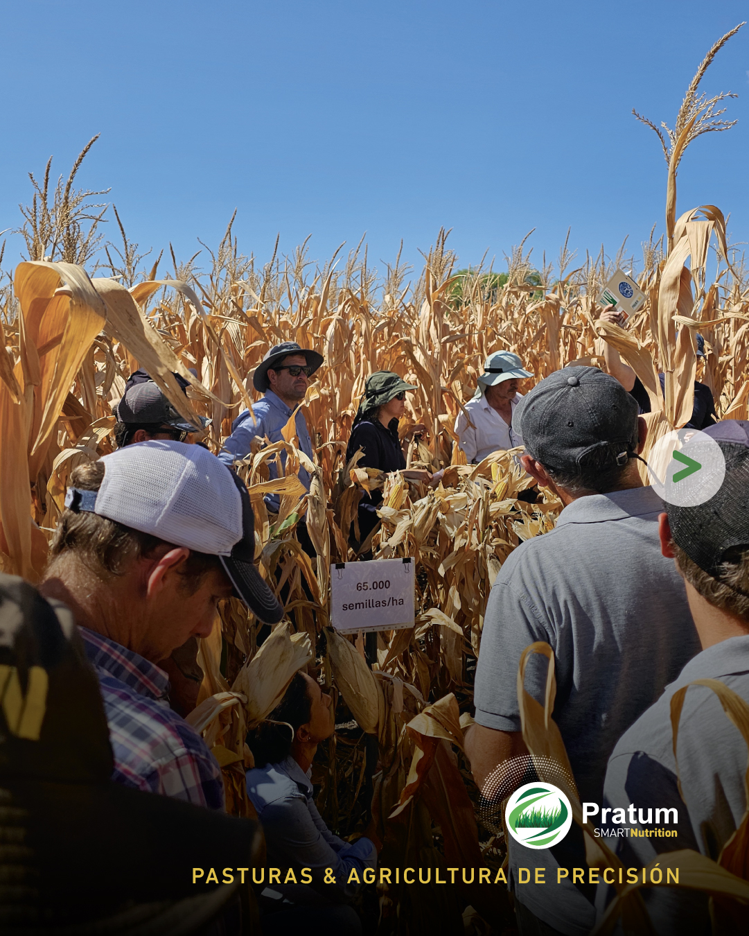 Pratum | Ciudad de Paysandú