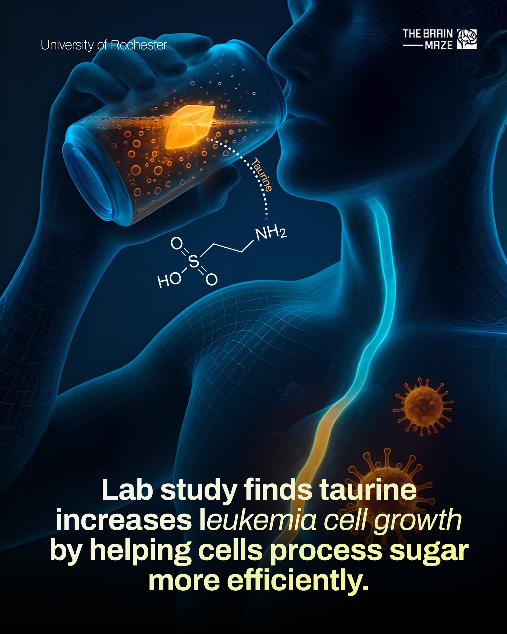 The Brain - Recent research from the University of Rochester Medical ...