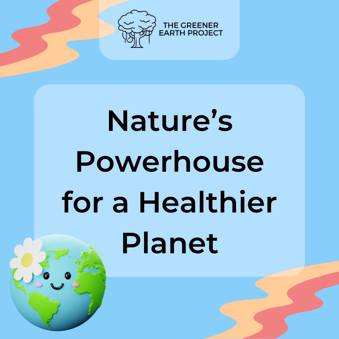 The Greener Earth Project - Trees are essential for life on Earth. They ...