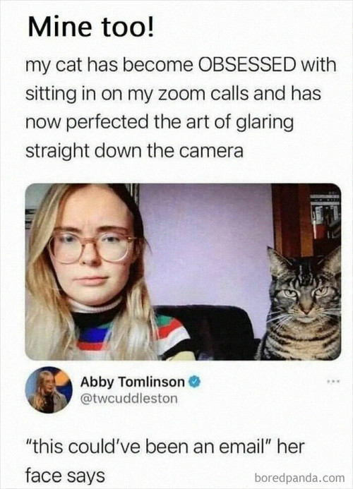 Bored - 50 funny memes that you might find painfully relatable (link in ...