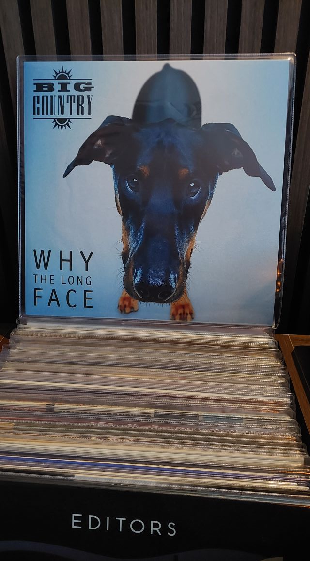 Big Country - Why The Long Face (limited edition/turquoise vinyl)￼
