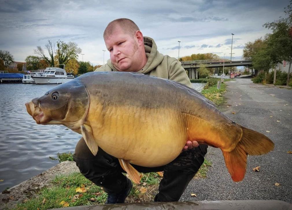 🐳 MASSIVE 🐳 Koro prend la pose avec... - Any Water France