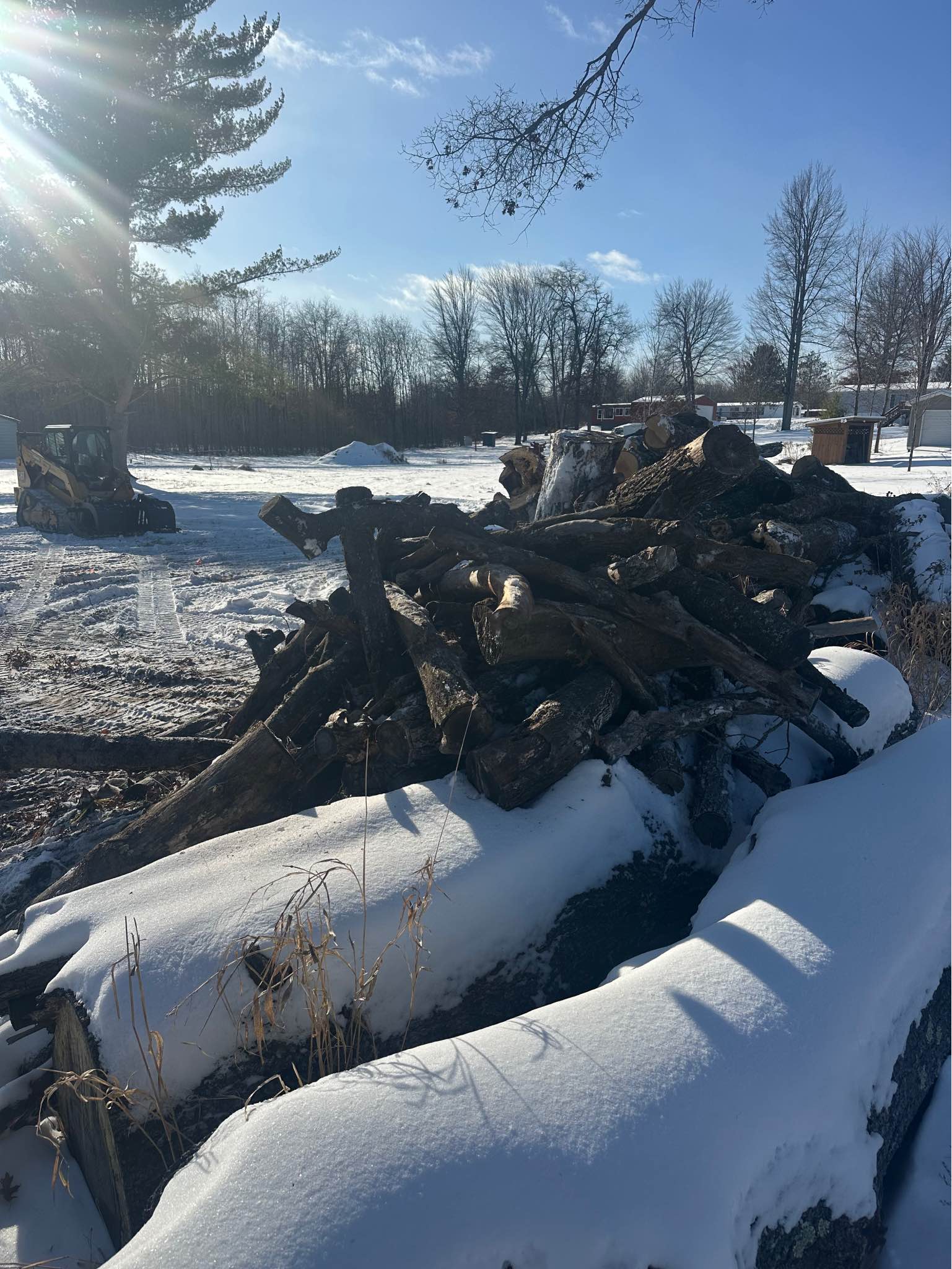 Firewood - Miscellaneous - Forest Junction, Wisconsin | Facebook ...