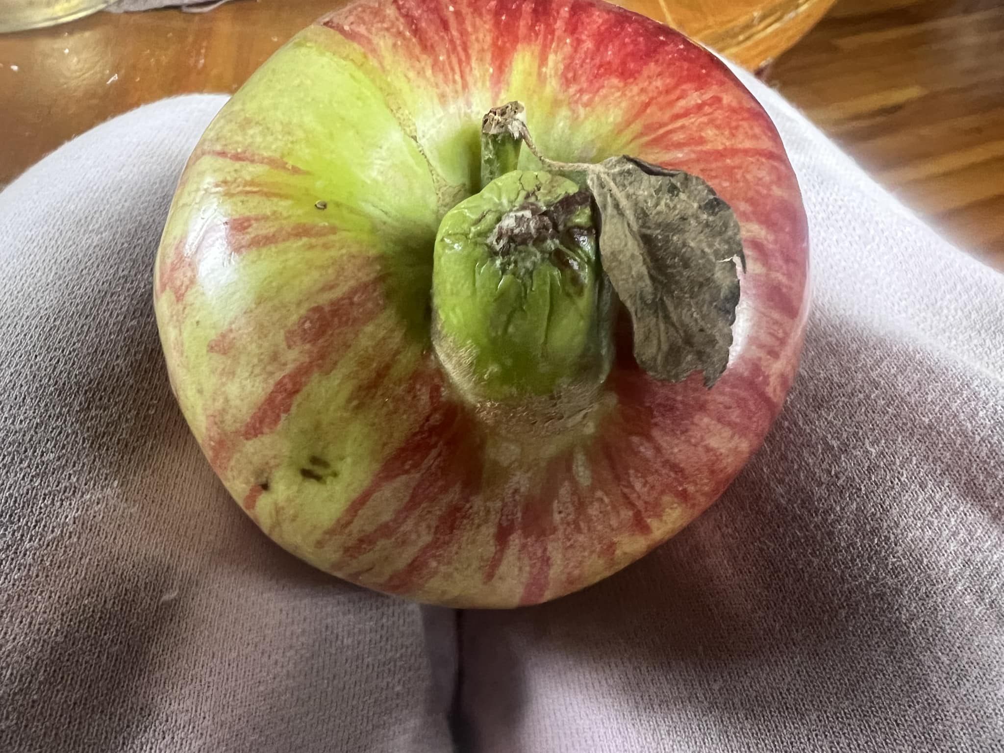 Icebreaker : Here's a weird apple I found today. 😁😊