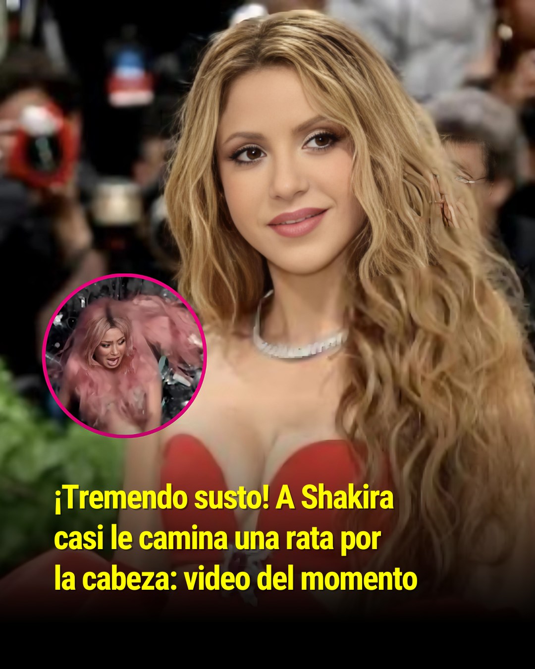 Algunos fans le preguntaron si era... - El Gordo y La Flaca