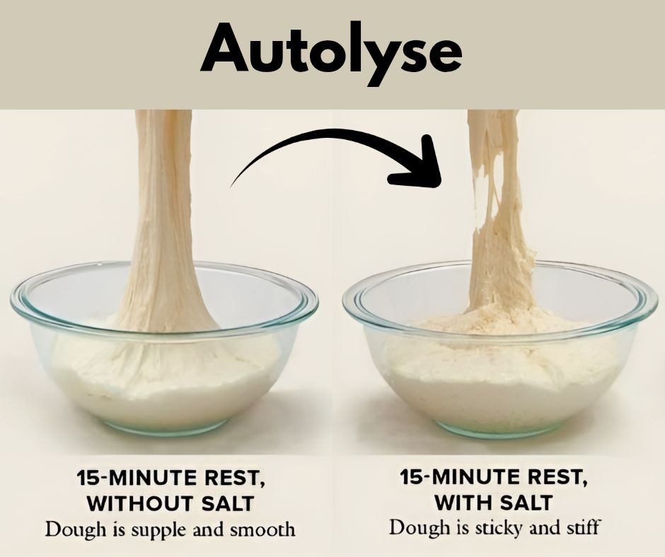 How does adding oil to dough affect gluten formation?