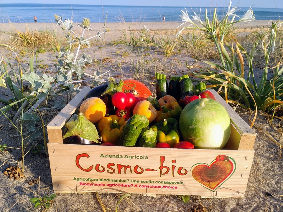 Cosmo-Bio Azienda Agricola Biologica Biodinamica | Palagianello