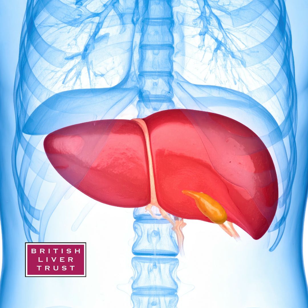 British - February is Gall Bladder and Bile Duct Cancer Awareness Month ...