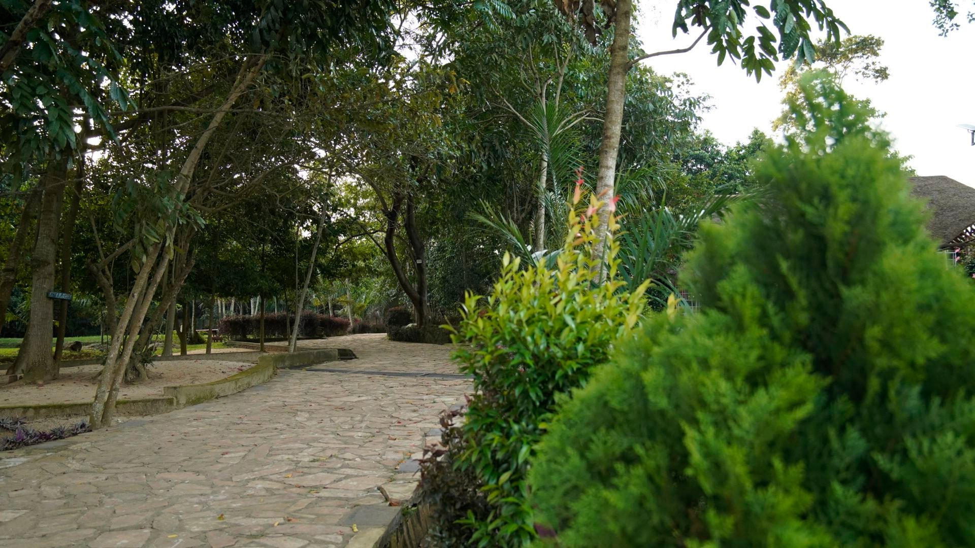 Nature's - An oasis of tranquility on the shores of Lake Victoria I'm ...