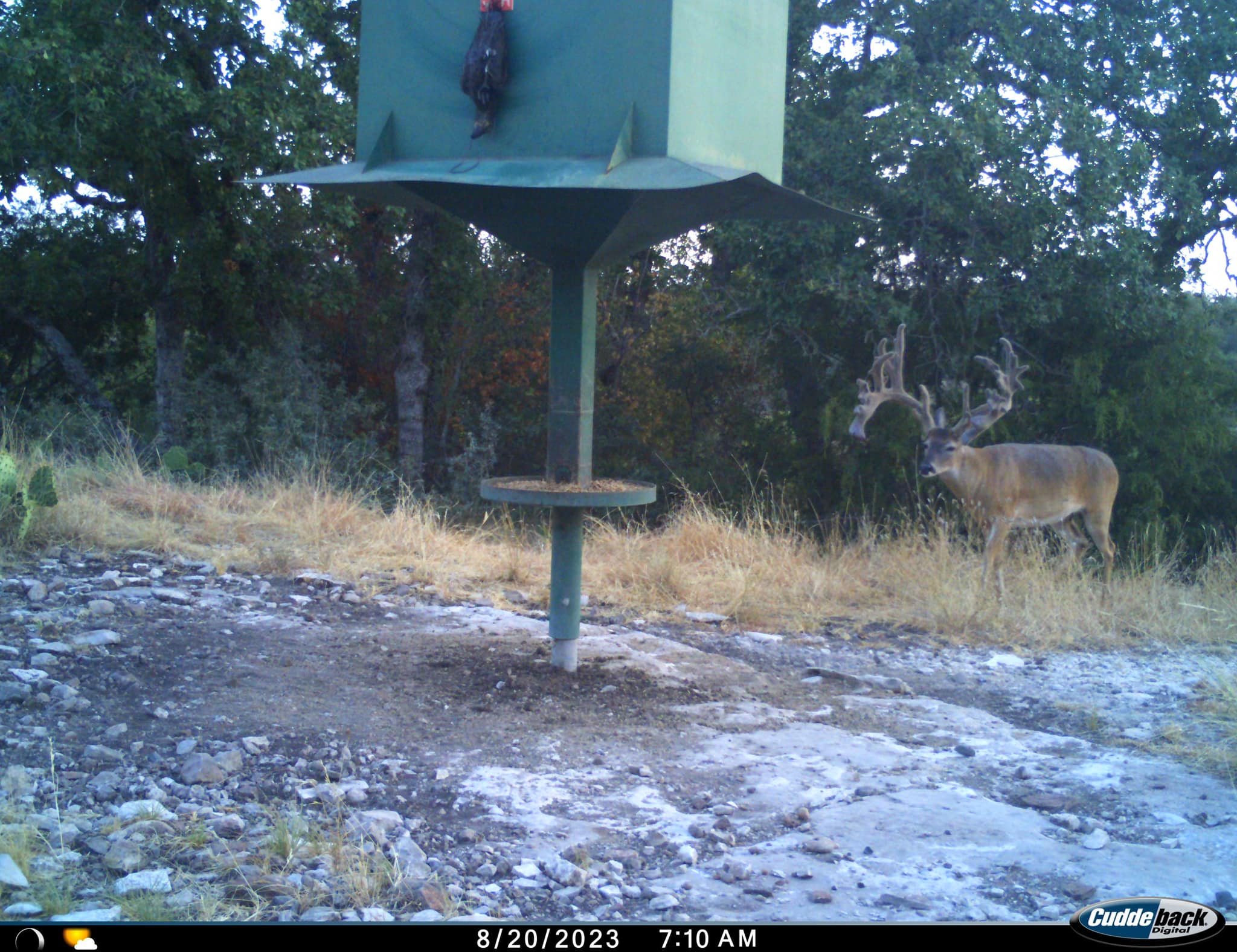 Triple AAA&J Ranch