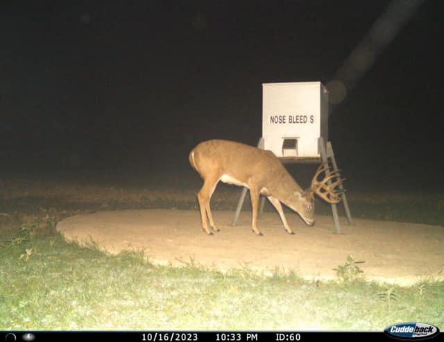 Triple AAA&J Ranch