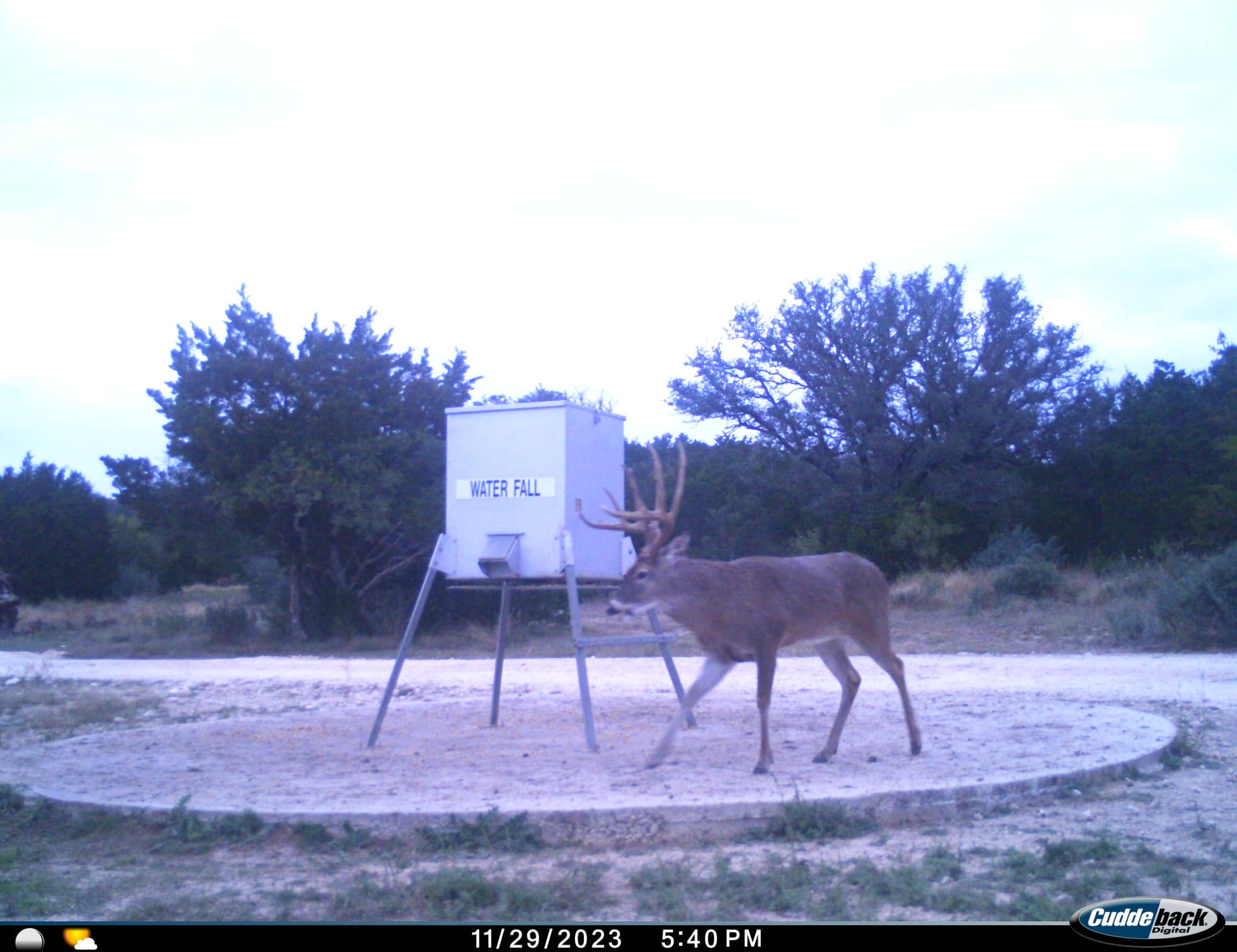 Triple AAA&J Ranch