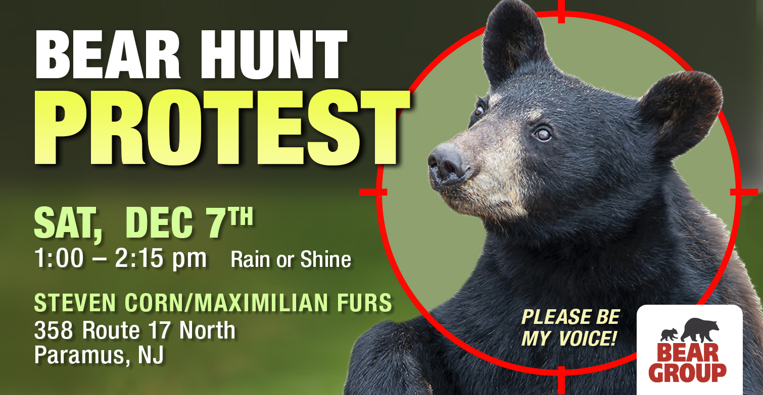 Bear Vigil Protest Demo