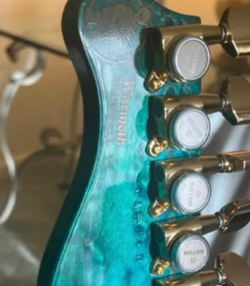 Warmoth Valley Arts Standard Pro neck availability?