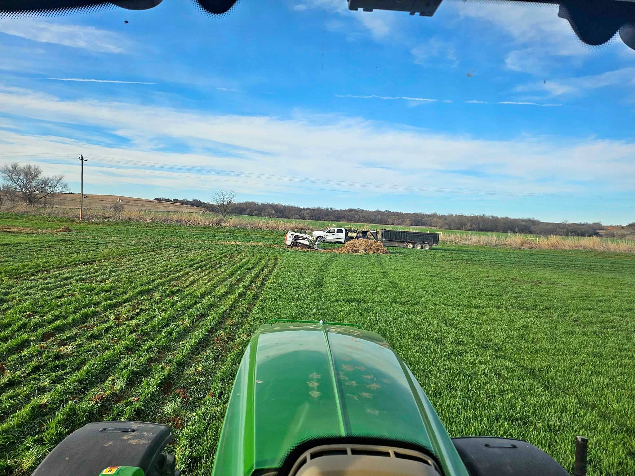 Bermuda Grass Sprigging 