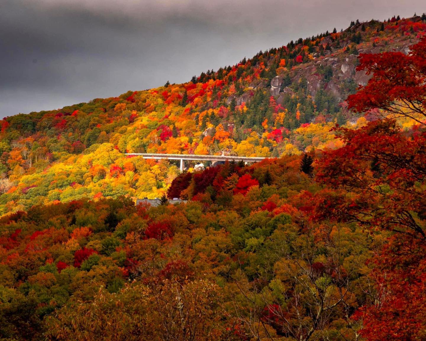 Ric - I can’t get enough of these fall colors! That is one bridge I ...